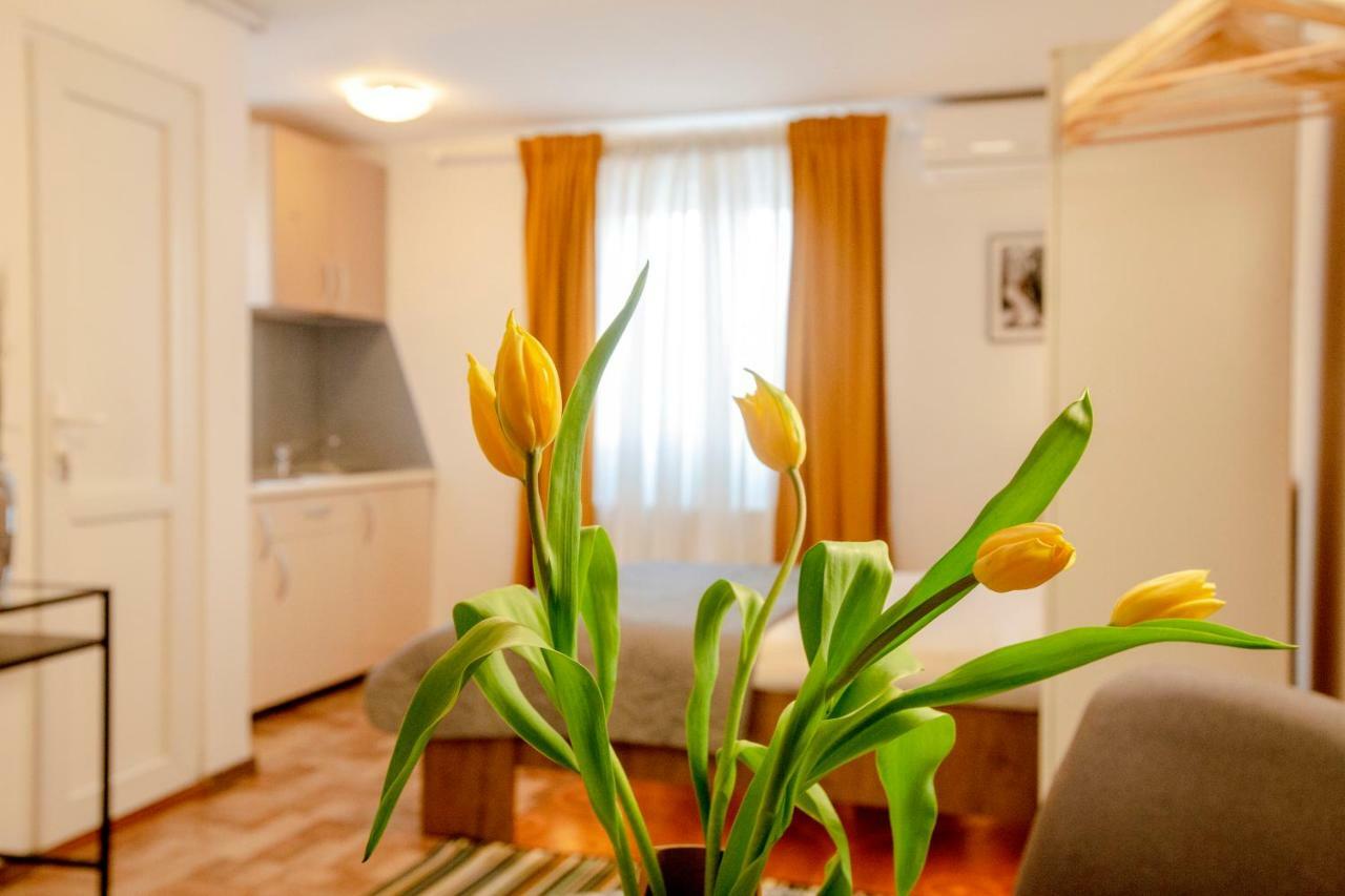 Color Apartments Downtown بوخارست المظهر الخارجي الصورة
